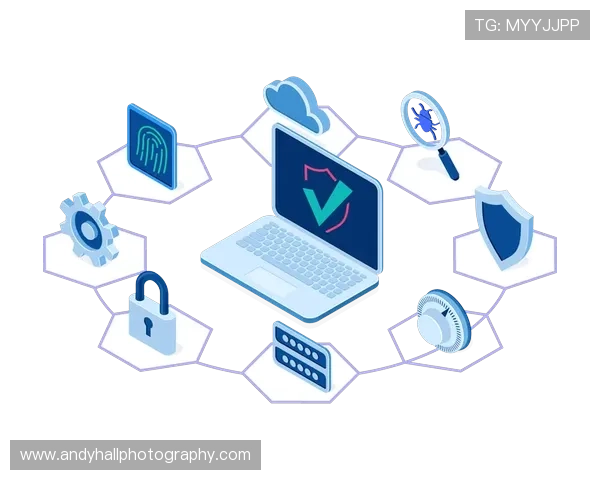 开云KY手机网址官方最新地址，确保每次访问都安全稳定无忧