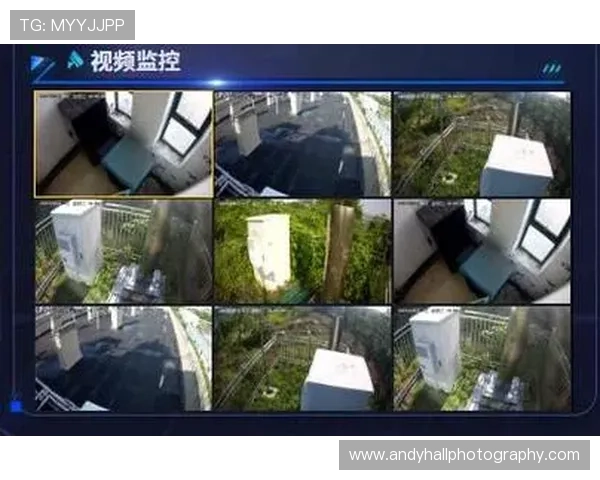 开云全站网站数据分析与监控，助力企业做出科学决策