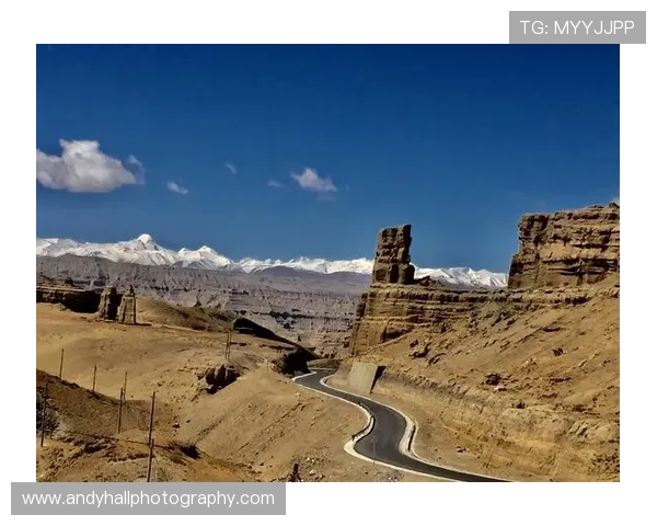 Kaiyun开云旗舰厅注册平台详细流程解析让新手玩家快速上手畅玩无限精彩 Kaiyun开云旗舰厅注册平台详细流程解析让新手玩家快速上手畅玩无限精彩