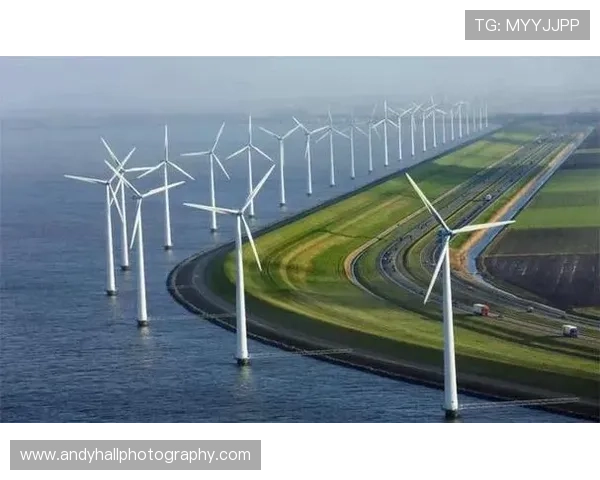 开云中国推动绿色游戏生态建设的具体行动与行业示范作用