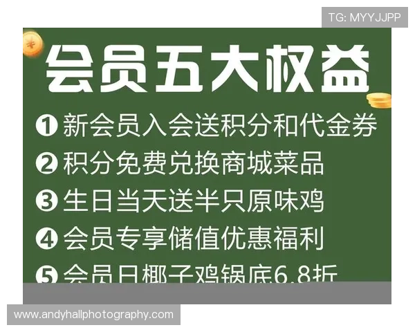 开云官网会员权益与积分制度详尽说明提升会员购物体验与福利