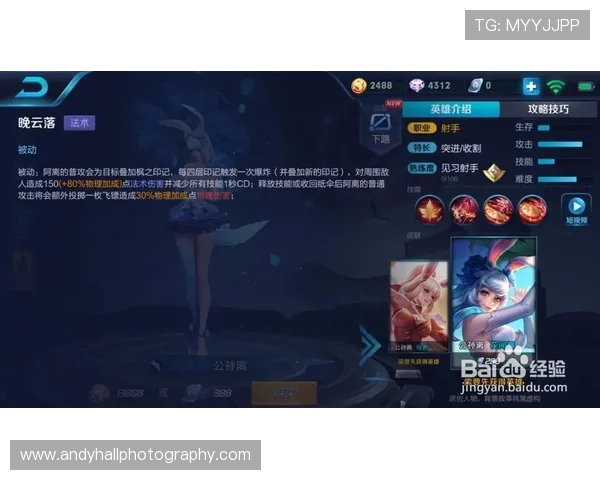 开云电竞appVIP会员权益详解，享受专属特权与优质服务