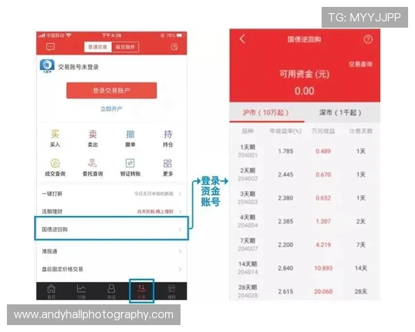 开云网页版在线登录app全面指南帮助玩家轻松掌握登录流程与常见问题解决方案