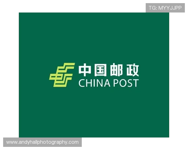 掌握开云Kaiyun注册流程提升账号注册效率的实用方法