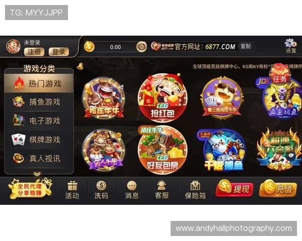 搭建属于你的运动天地，开云体育官方app下载精选五大亮点