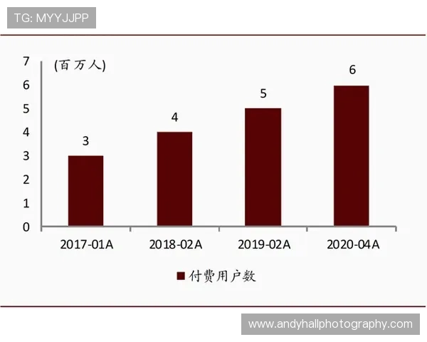 深入了解开云集团旗下品牌的历史沿革与发展战略演变 深入了解开云集团旗下品牌的历史沿革与发展战略演变