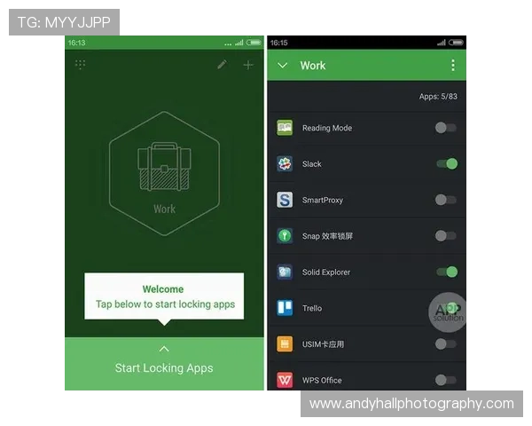 爱游戏体育官网app安全保障措施，确保玩家个人信息和游戏账号的安全与隐私保护