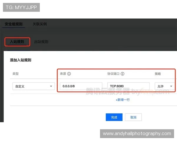 开云网址登录入口详细流程解析确保用户快速安全登录账号