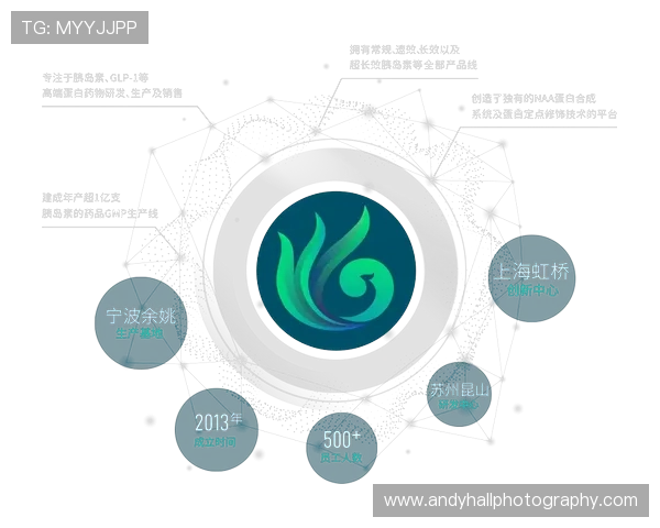 全面解析Kaiyun开云网址登录线路优化方案，提升登录速度与安全性的实用技巧