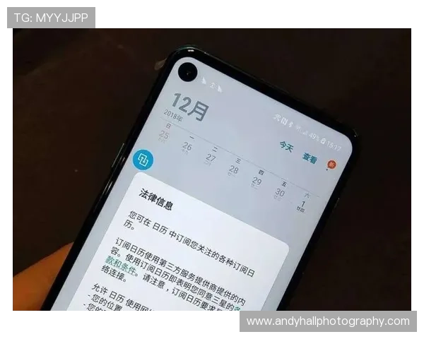 开云官网网页版登录界面优化建议，提升用户体验的实用操作指南