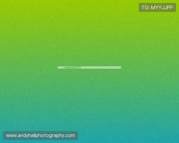 开云彩票222753 com最新官方平台安全可靠,提供多种彩票玩法满足不同用户需求 开云彩票222753 com最新官方平台安全可靠,提供多种彩票玩法满足不同用户需求