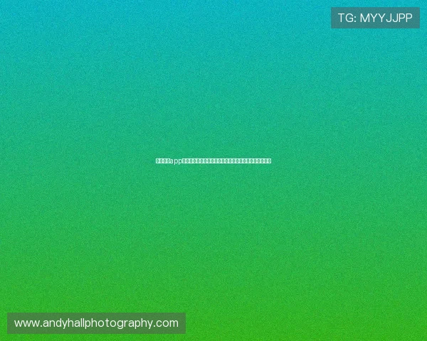 开云综合app登录流程详细指南帮助新手玩家快速注册并顺利登录平台 开云综合app登录流程详细指南帮助新手玩家快速注册并顺利登录平台