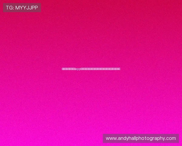 开云网页版在线登录app最新版本下载与安装教程,确保玩家顺利体验丰富游戏内容 开云网页版在线登录app最新版本下载与安装教程,确保玩家顺利体验丰富游戏内容