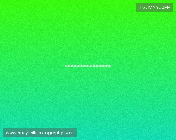 深度解读开云综合排行背后逻辑，助你科学选择最适合自己的网络游戏