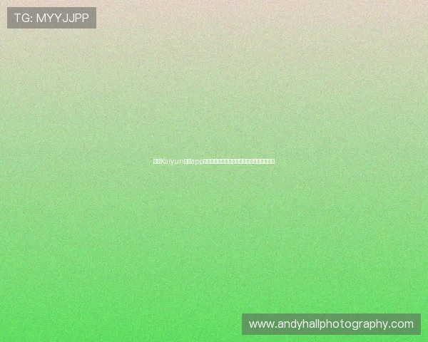 获取Kaiyun开云app网址的最全途径,确保每次都能顺利进入游戏 获取Kaiyun开云app网址的最全途径,确保每次都能顺利进入游戏