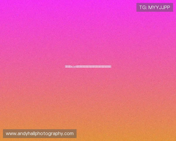 云开体育app下载链接带你全面了解世界杯赛事最新动态与精彩集锦 云开体育app下载链接带你全面了解世界杯赛事最新动态与精彩集锦