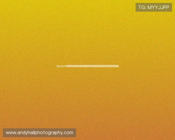 kaiyun体育官方网页入口：专业解读世界杯热点话题与赛场内幕，满足体育迷的多样需求