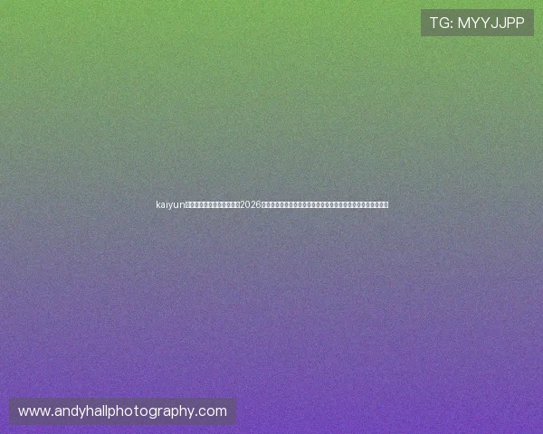 kaiyun体育手机登录入口为你提供2026世界杯实时直播、赛事资讯和精彩评论，打造专业足球报道平台