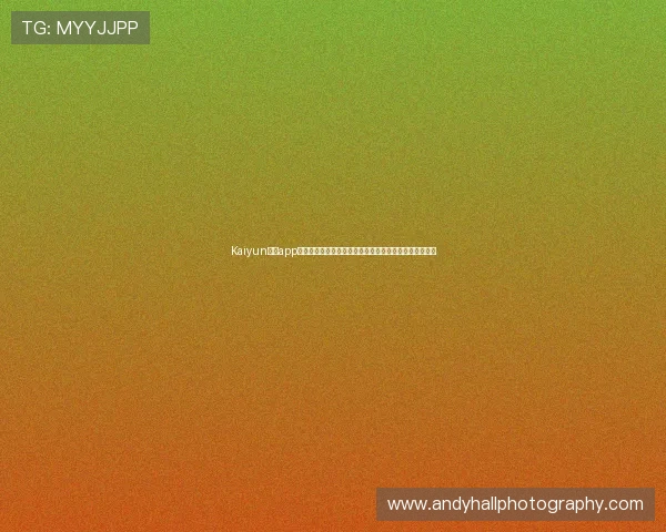 Kaiyun开云app网址官方推荐，确保安全可靠的游戏下载与账号登录方法