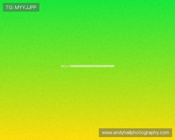 Kaiyun开云真人国际支付方式多样化,确保玩家充值提现的便捷与安全保障 Kaiyun开云真人国际支付方式多样化,确保玩家充值提现的便捷与安全保障