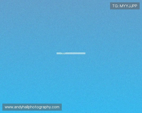 乐鱼体育app官网用户评价与使用体验真实反馈分析 乐鱼体育app官网用户评价与使用体验真实反馈分析