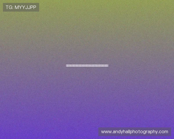 云体育下载平台最新版本，畅享高清赛事直播与丰富体育内容推荐