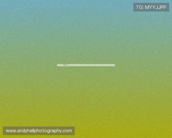 云开体育app官方下载安装最新版本,享受高清流畅的体育赛事直播体验与实时比分更新 云开体育app官方下载安装最新版本,享受高清流畅的体育赛事直播体验与实时比分更新