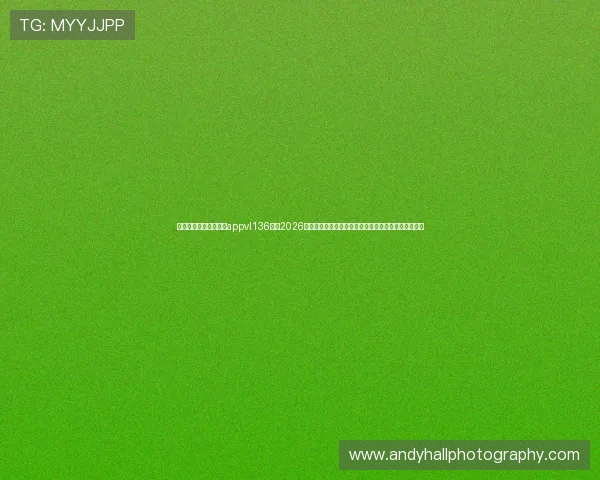 云开体育官网入口下载appvl136汇聚2026世界杯最新新闻资讯，助力用户第一时间掌握赛场动态