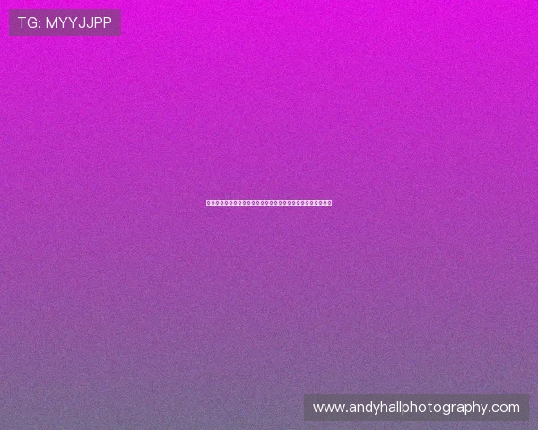 如何解决开云网页版登录问题确保顺利获取世界杯最新赛事信息