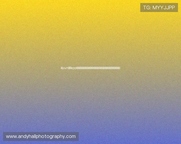 开yun体育app入口登录常见问题解答，帮助用户快速解决登录过程中遇到的困扰