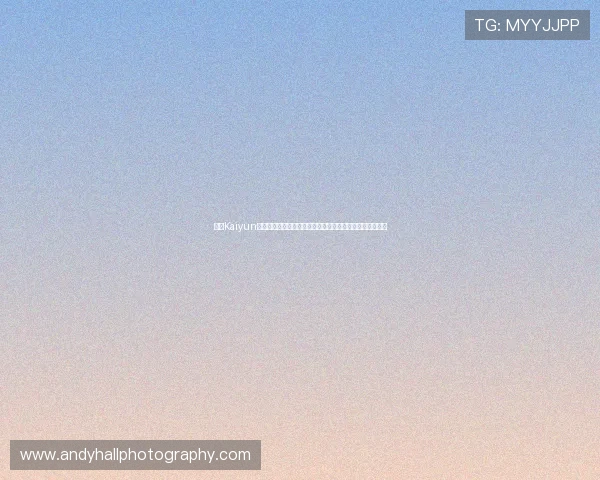开云Kaiyun引领未来电竞产业发展新趋势，打造全球顶级电竞赛事平台