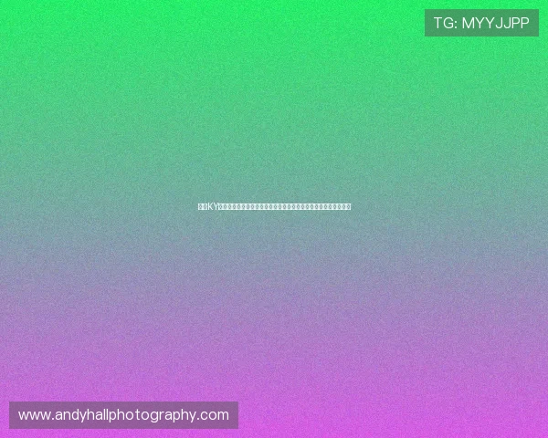 开云KY真人版全站登录安全指南,保障玩家账号信息安全与游戏资产安全 开云KY真人版全站登录安全指南,保障玩家账号信息安全与游戏资产安全
